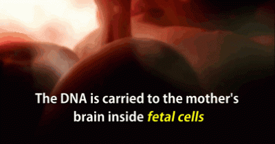 Science Shows How A Son&rsquo;s DNA Stays With His Mother