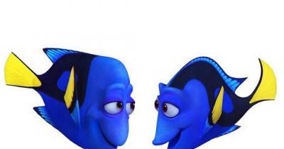 You'll Definitely Going To Melt After Meeting The Captivating New Characters In Finding Dory