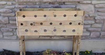 She Drilled 19 Holes In A Wooden Box, 3 Months Later It's Beautiful