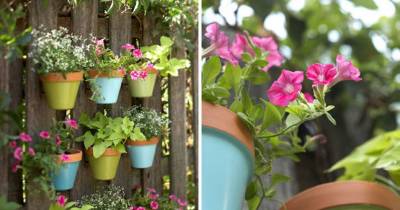 DIY Vertical Garden Ideas To Try This Spring