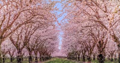 Must See Places To Visit This Spring