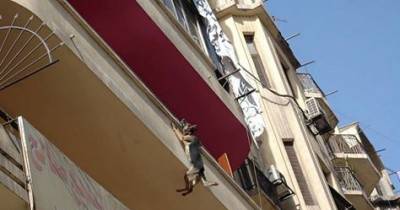 She Had Been Chained To A Balcony, So She Did Something Heartbreaking