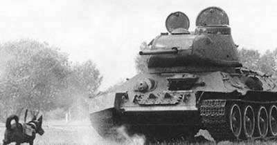 Insane Weapons From WWII That Will Completely Blow You Away