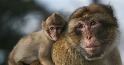 Scientific Facts That Will Warm Your Cold, Dead Heart.