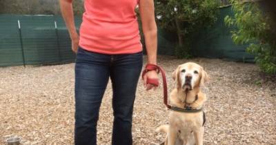 Local Pet Owners Wary Of Sharp Objects Being Left In Food Near Road