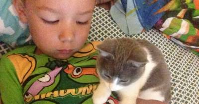 They Rescue A Kitten From The Street, She Becomes Bodyguard To Boy For Life