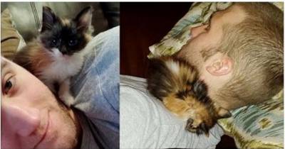 Two Years Ago This Man Met A Little Runt Who Became His Lifelong Friend