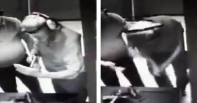 Man Shoots Own Hand When Attempting To Fix Laser Sight