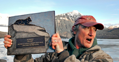 A Wolf Befriended An Entire Community In Alaska. When He Died, They Did THIS To Honor Him.