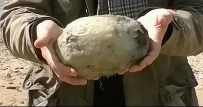 A Couple Found This On The Beach And Earned $70000. You&rsquo;ll Be Astonished When You Discover What It Is.
