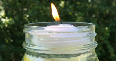 Simple DIY Natural Mosquito Repellent Just In Time For Summer