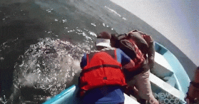 She Extends Her Left Hand Out. Seconds Later, She&rsquo;s Shocked When THIS Emerges From The Water