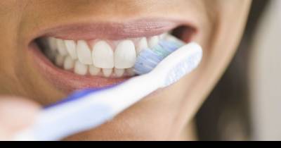 You Will Never Forget To Brush Your Teeth Again! Horrifying Close-Up Pictures Reveal The Bacteria Living Inside Our Mouths