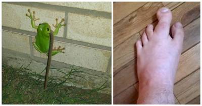 Shocking Pictures That Will Make You Wonder WTF Is Happening
