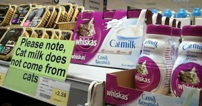 12 Signs That Warn People Because Obviously Humans Are Stupid