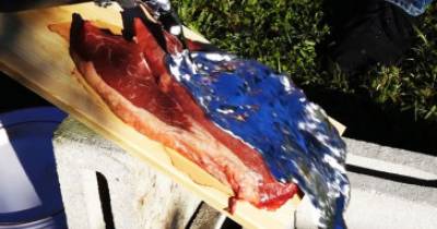 Can You Cook A Steak With Molten Aluminum?