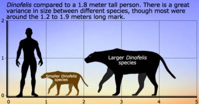 This Terrifying Creature Evolved Specifically To Hunt Humans, And It&rsquo;s Scarier Than You Think.
