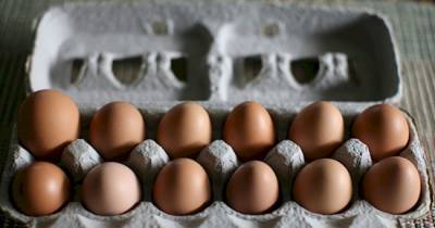 You'll Never Look At Eggs The Same After Understanding THIS Symbol