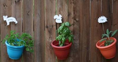 DIY Marker Projects You Can Make For Your Garden