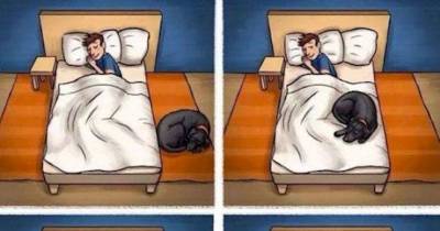 Things Only Dog Owners Will Understand