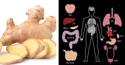 The Incredible Health Benefits Of Ginger