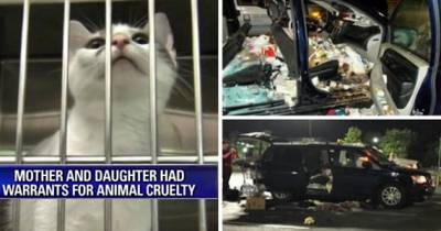 Mother And Daughter Found Living In Deplorable Conditions After Police Find Minivan With 38 Sickly Cats