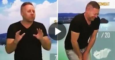 Weather Man Fired After Making Fart Noises During Segment About Wind