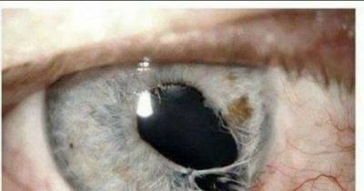 Weird Tumblr Posts That Will Make You Say WTF!!!