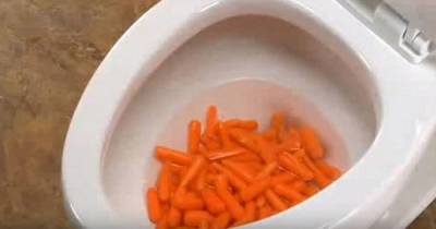 This Man Dumps Carrots In The Toilet. You Will Be Surprised To See What Happens Next!