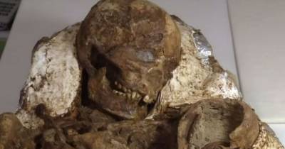 This 4,800-year-old Fossil Of A Mother And Child Will Make Your Heart Explode
