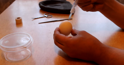 Russian Man Injects His Own Semen Into An Egg With Some Horrifying Results