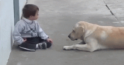 When Her Son Desperately Needed A Friend, Mom Burst Into Tears When She Saw The Dog&rsquo;s Reaction
