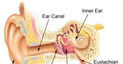 This Is What Happens Inside Your Ear When An Airplane Takes Off And Lands