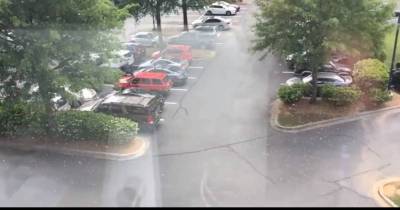 It Looked Like Rain Outside Their Window, But Then They Looked Closer...