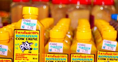 India's Biggest Retailers Are Lining Up To Sell Cow Urine, You Can Even Buy It Online