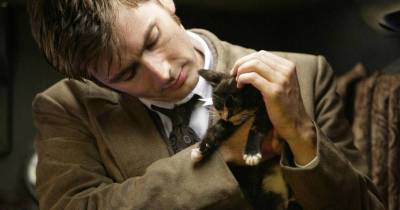 The Cats Of Doctor Who