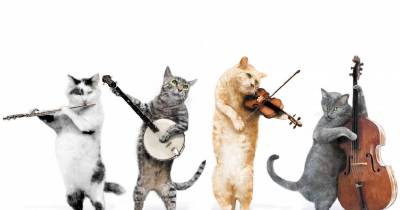 Four Kittens Listening To A Street Singer While Humans Ignore Him Is Absolutely Adorable!