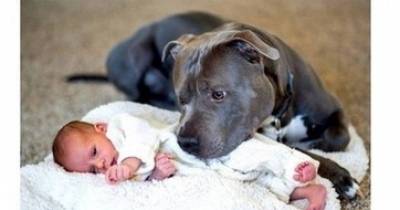 This Heartbreaking Story Of A Girl And Her Best Friend Will Make You Hug Your Dog Extra-Tight Tonight