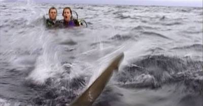 The Movie Open Water Was Inspired By The True Creepy Story Of This 1990's Couple!