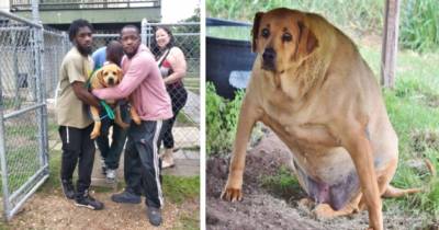 When They Found Her She Had Already Been In A Shelter For 5 Years And Looked Like This