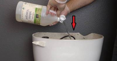He Pours Vinegar In His Toilet Tank And Flushes. The Result Is Genius!
