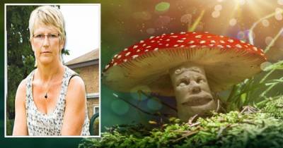Mother Jailed After Accidentally Serving Her Family Magic Mushrooms