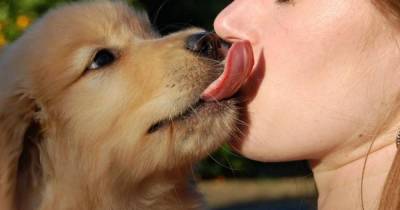 She Let Her Dog Lick Her Face, And When She Realized What Happened It Was Too Late.