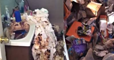 Poop Dynasty - Landlord Discovers One Of The Grossest Hoarder Houses Ever