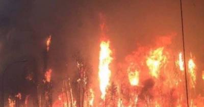 Family Flees Burning Town, But What Dad Realizes In Car Will Tear Your Heart Open