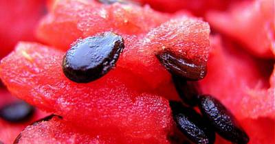 This Woman Takes Watermelon Seeds And Boils Them. The Results Will Shock You