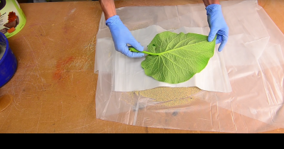 This Idea Is So Wonderful It Will Have Everybody Running To The Garden Searching For Leaves!