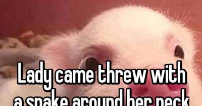 Drive-Thru Workers Confess The Strangest Things They've Seen On The Job