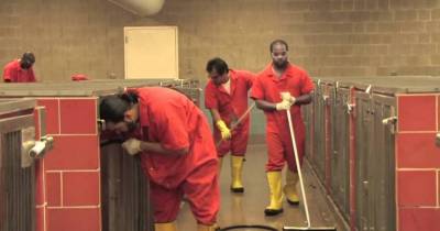 Completely Legal Ways To Get Out Of Prison