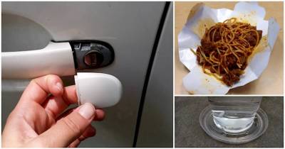 13 Pictures That Will Make You Question Everything You Know